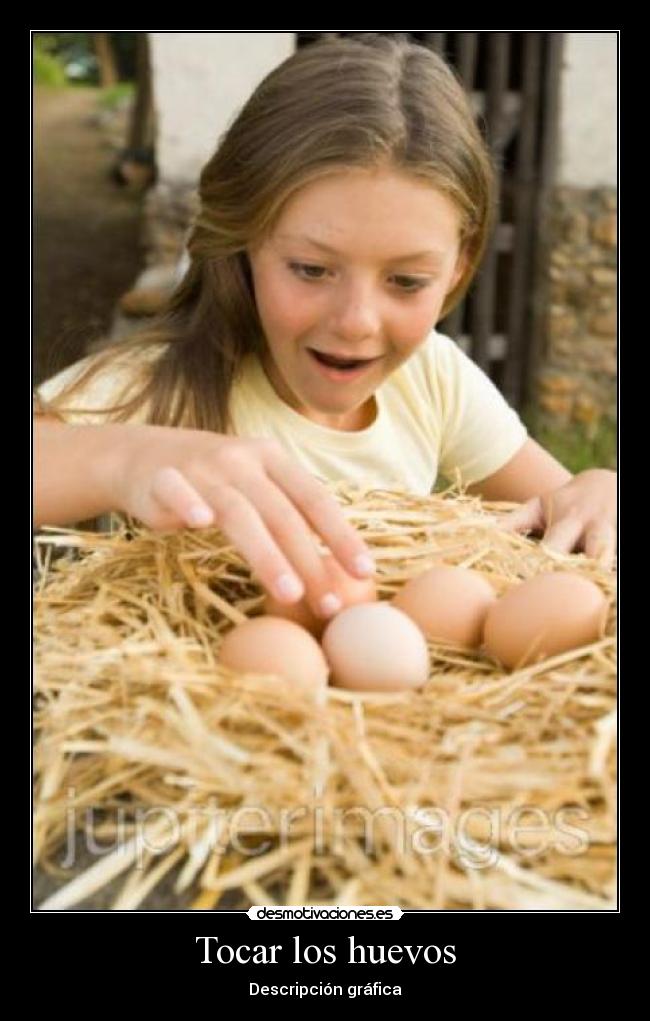 carteles huevos desmotivaciones
