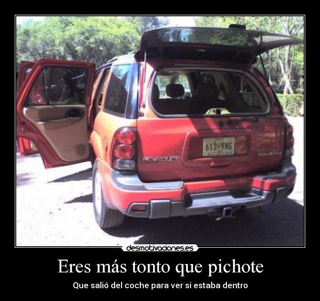 Eres más tonto que pichote - Que salió del coche para ver si estaba dentro