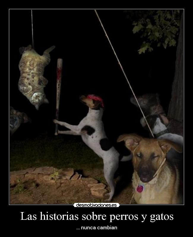 Las historias sobre perros y gatos -