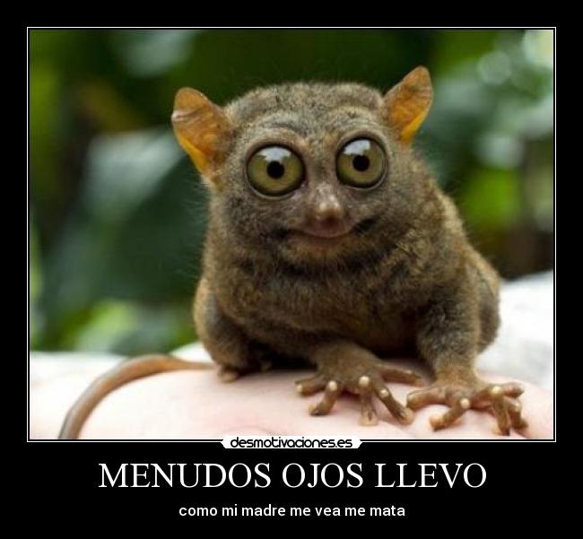 MENUDOS OJOS LLEVO -