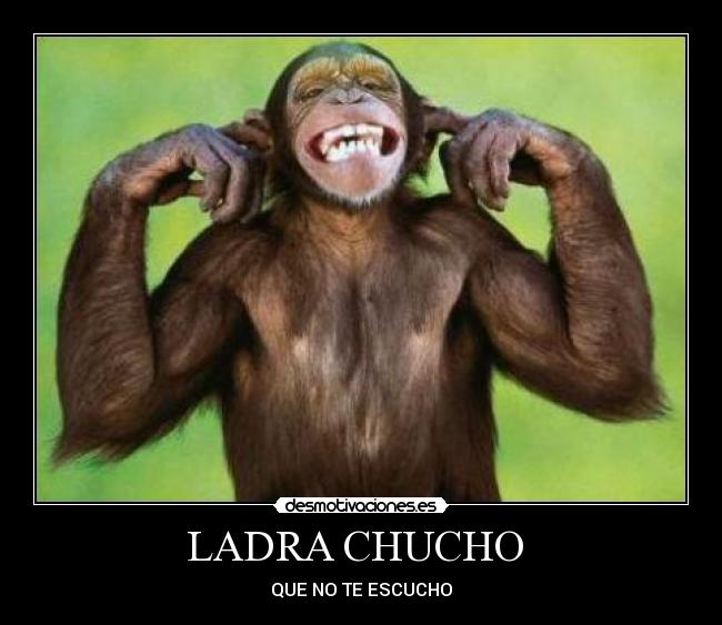 LADRA CHUCHO  - 