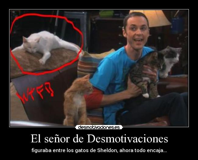 El señor de Desmotivaciones - figuraba entre los gatos de Sheldon, ahora todo encaja...