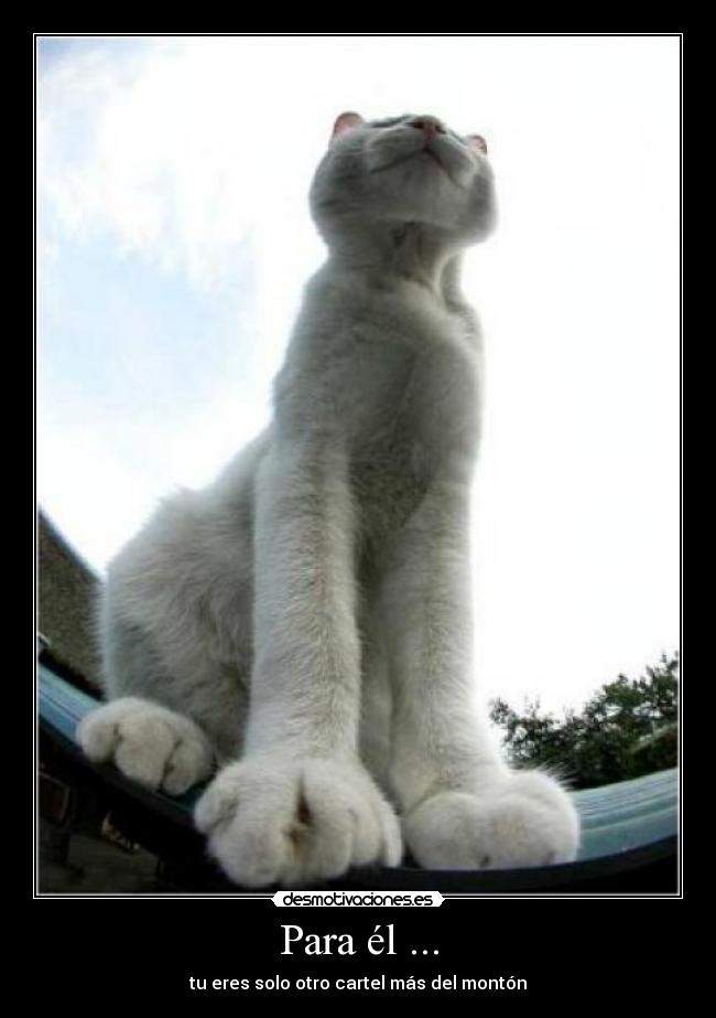 Para él ... - 