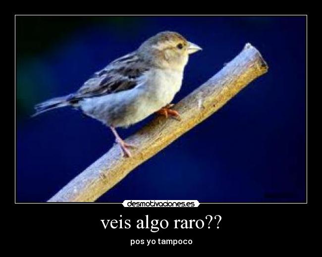 veis algo raro?? - pos yo tampoco