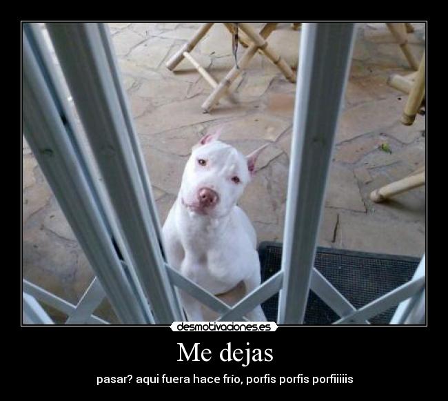 Me dejas -