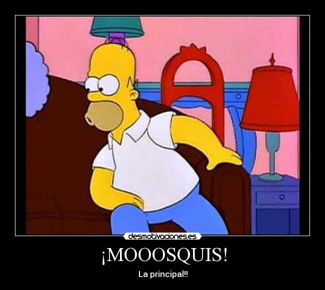 ¡MOOOSQUIS! -