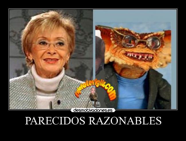 PARECIDOS RAZONABLES -