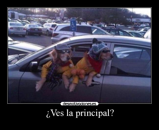 ¿Ves la principal? -