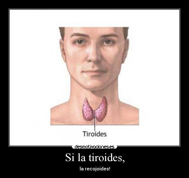 Si la tiroides, - 