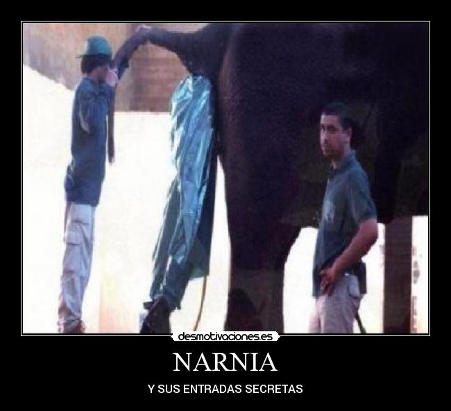 NARNIA - Y SUS ENTRADAS SECRETAS