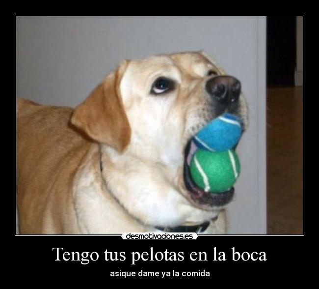 Tengo tus pelotas en la boca - 