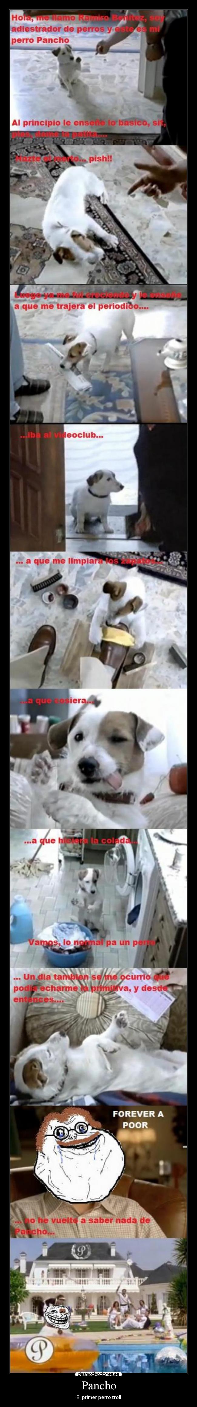 Pancho - El primer perro troll