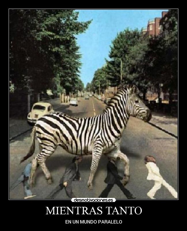 MIENTRAS TANTO - EN UN MUNDO PARALELO