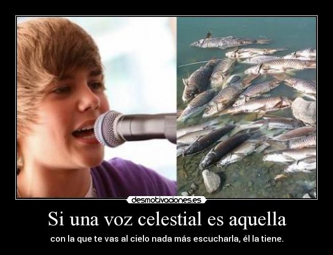 Si una voz celestial es aquella -