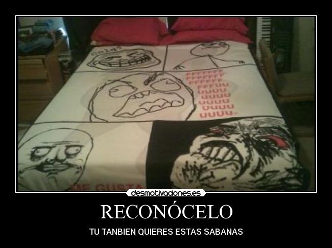 carteles reconocelo desmotivaciones