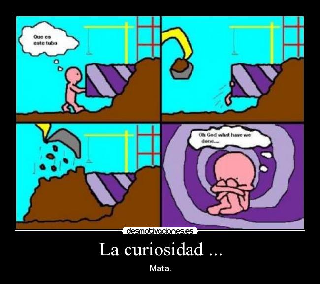 La curiosidad ... - 