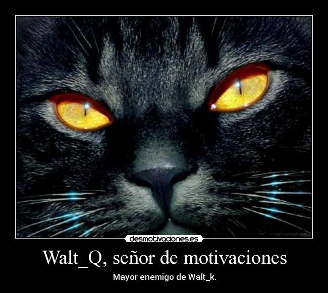 Walt_Q, señor de motivaciones -