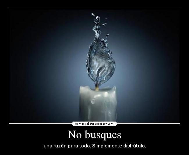 No busques -