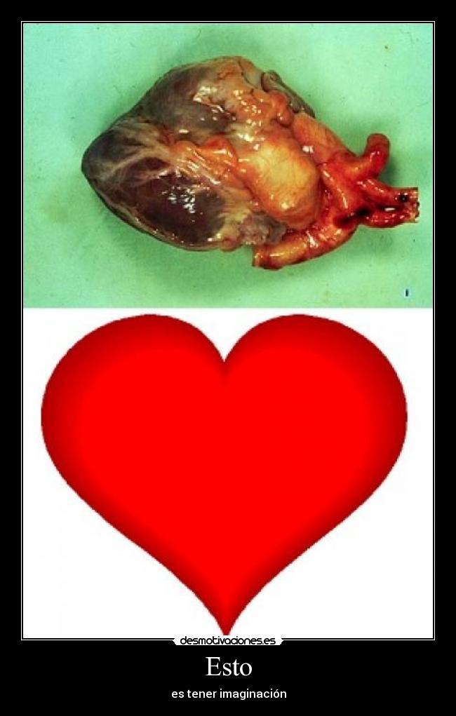 Esto - es tener imaginación