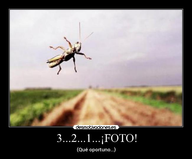3...2...1...¡FOTO! - (Qué oportuno...)