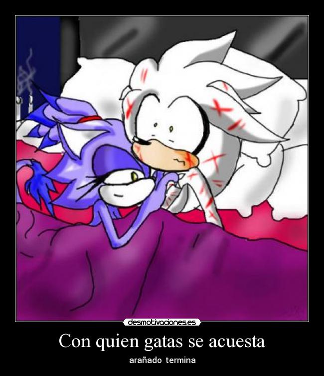 Con quien gatas se acuesta - arañado termina