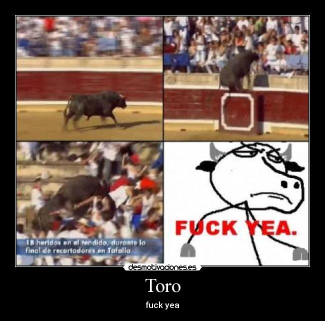 Toro - fuck yea