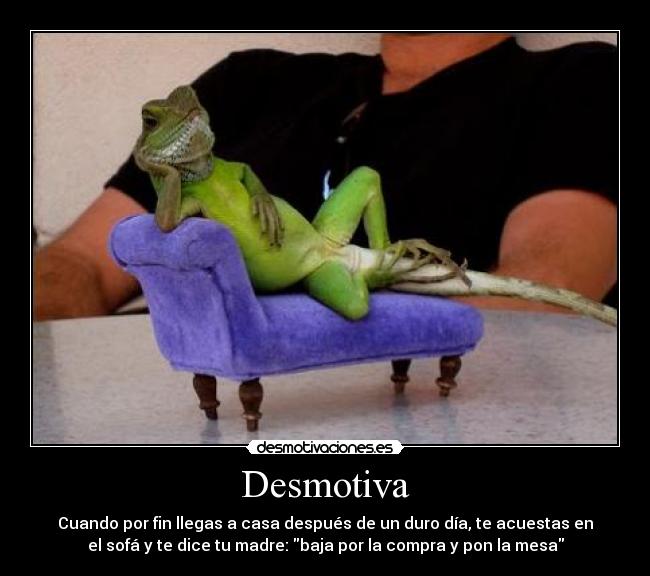 carteles desmotiva lagartija iguana sofa desmotivaciones