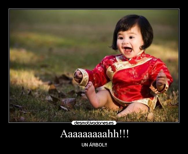 Aaaaaaaaahh!!! - UN ÁRBOL!!