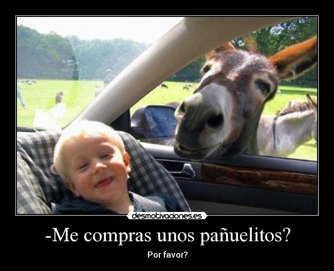 carteles burro unos panuelitos desmotivaciones