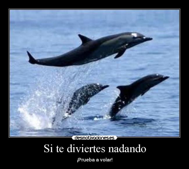 Si te diviertes nadando - ¡Prueba a volar!