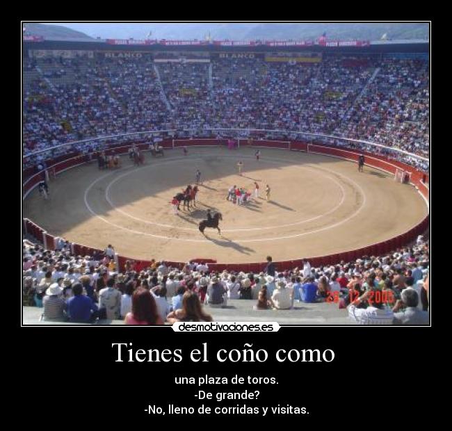 Tienes el coño como  - 