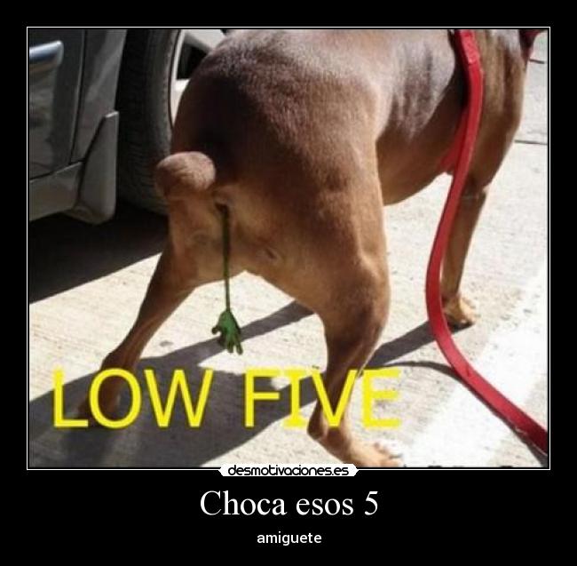 Choca esos 5 - amiguete