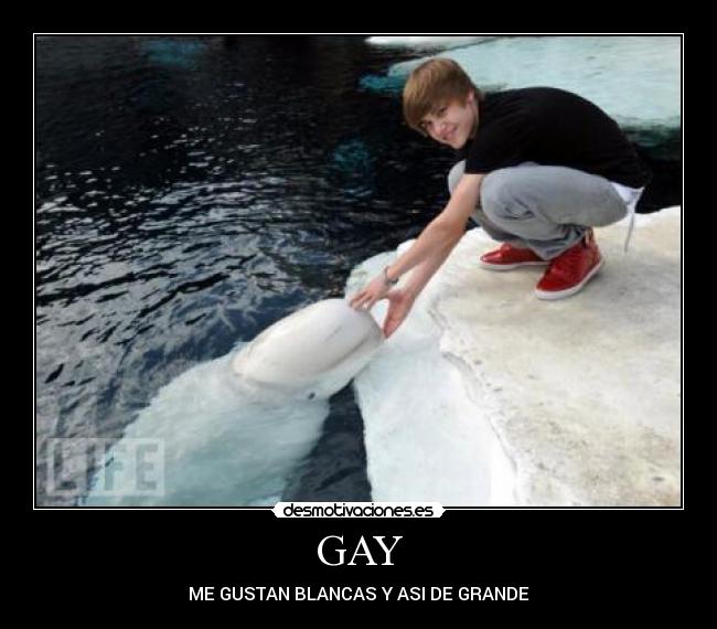 GAY - ME GUSTAN BLANCAS Y ASI DE GRANDE