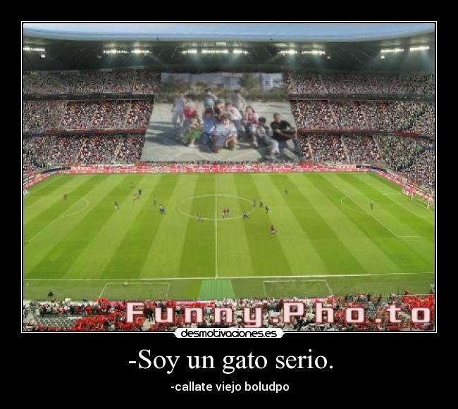 -Soy un gato serio. -