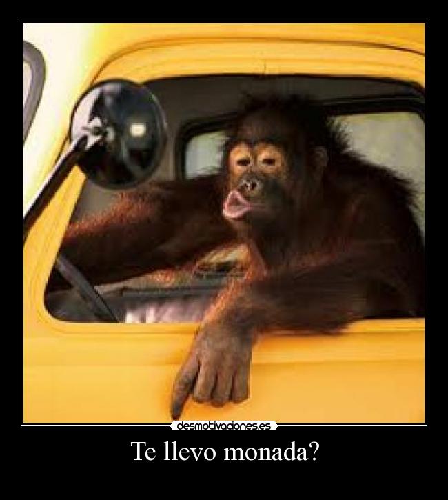 Te llevo monada? -