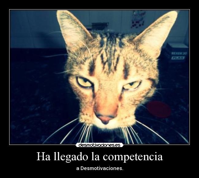 Ha llegado la competencia - a Desmotivaciones.