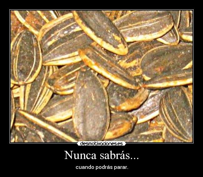 Nunca sabrás... -