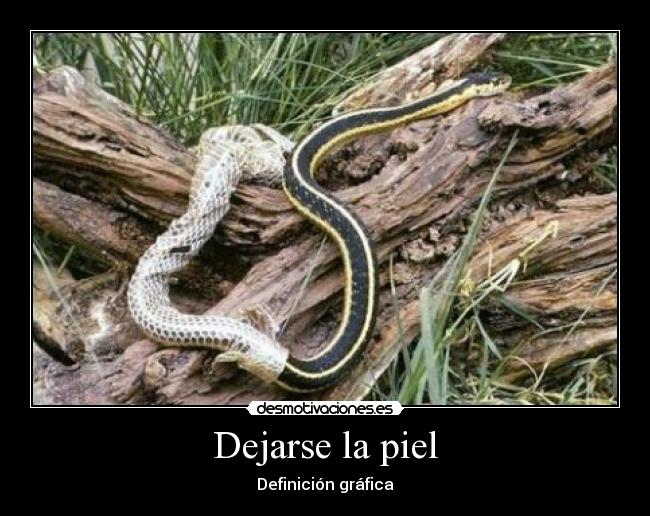 Dejarse la piel -