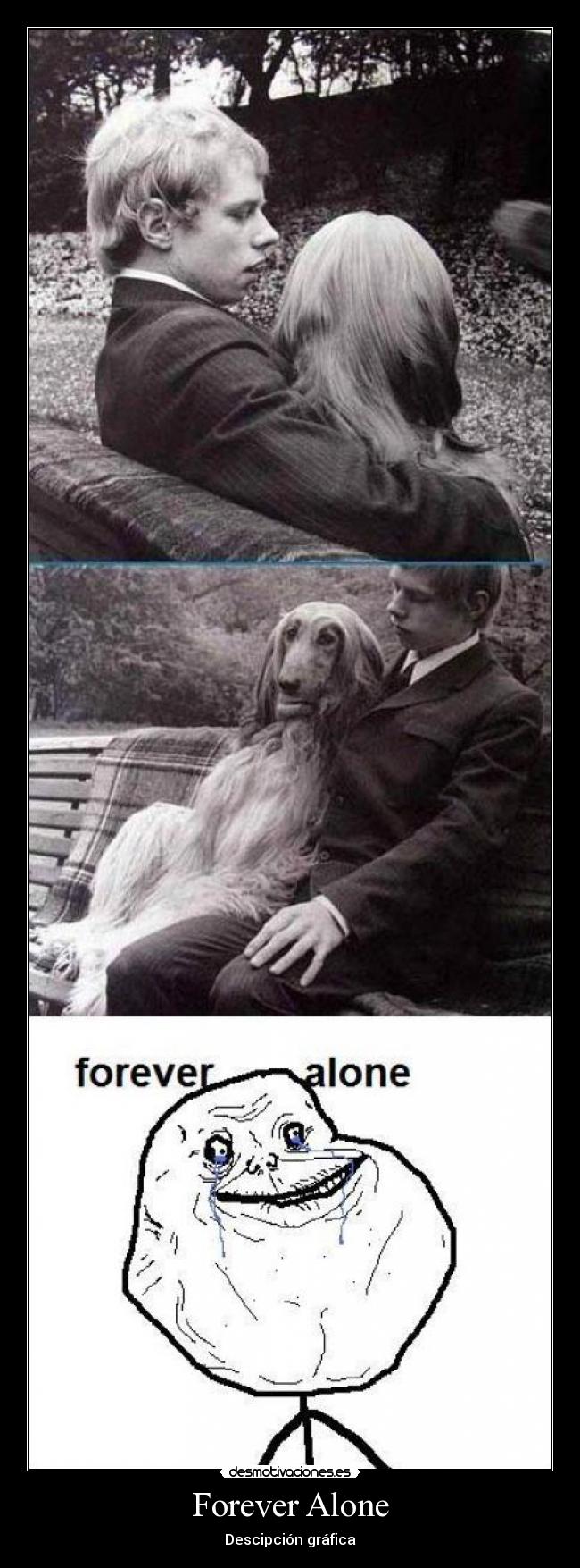 Forever Alone - Descipción gráfica