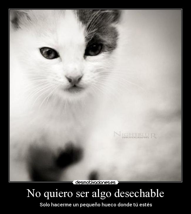 No quiero ser algo desechable - Solo hacerme un pequeño hueco donde tú estés