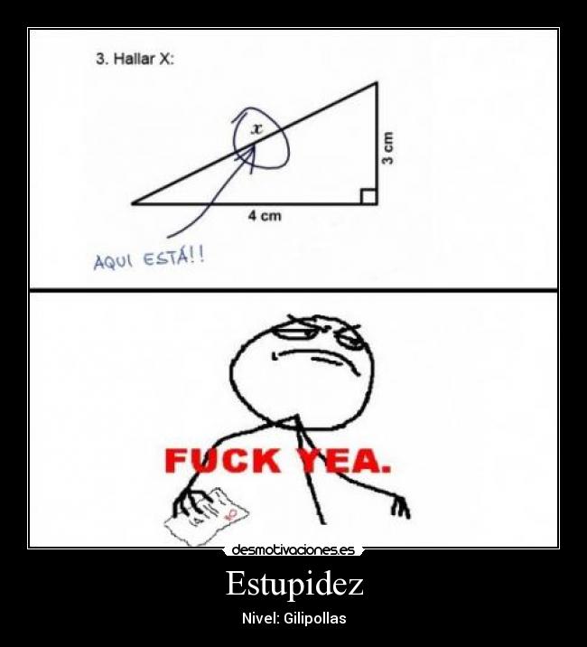 Estupidez -