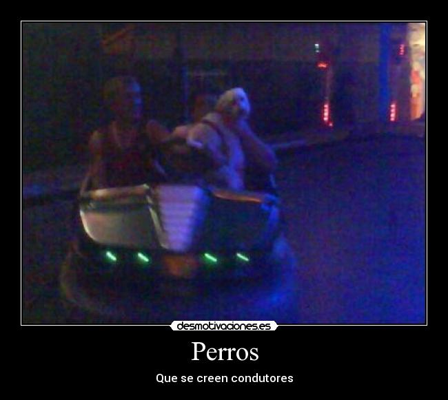 carteles jaja esto son duenos sueltan perro nunca desmotivaciones