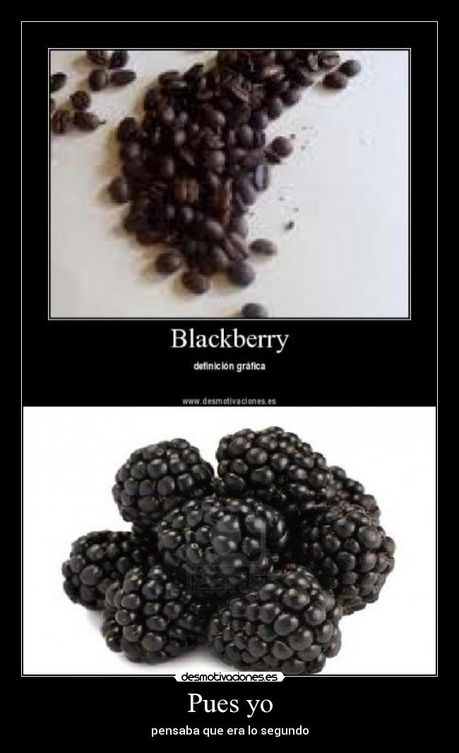 carteles pitgrif desmotivaciones