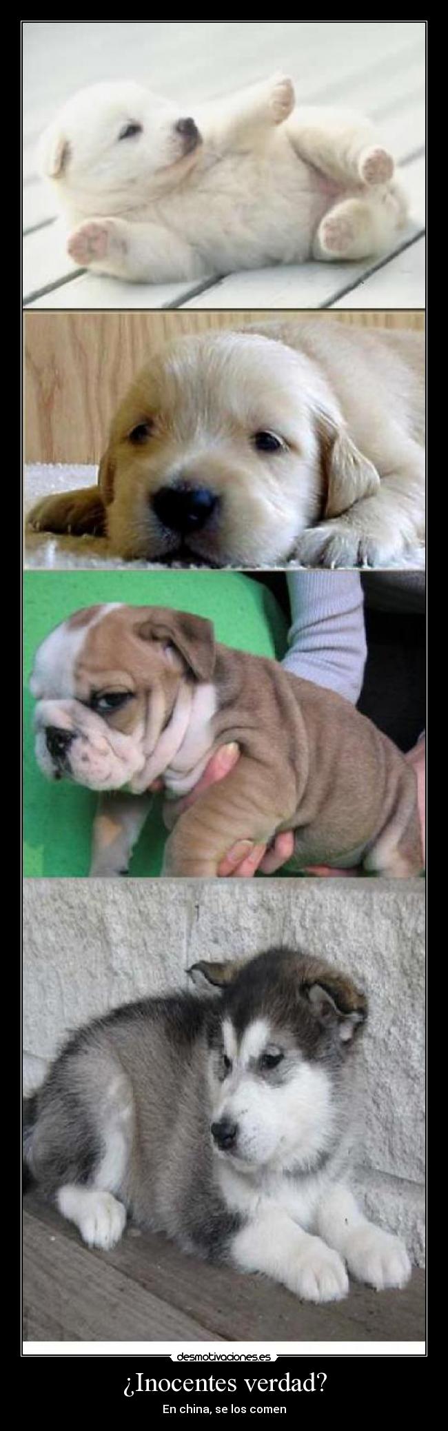 carteles china desmotivaciones