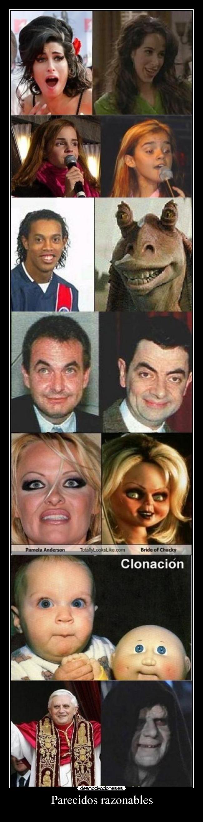 Parecidos razonables -