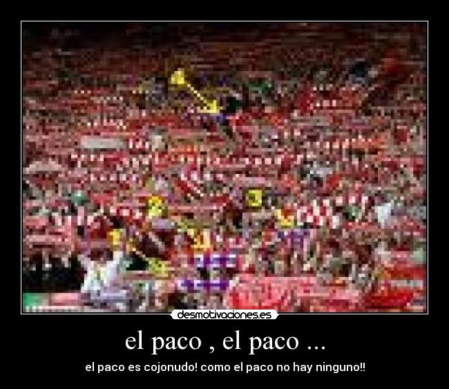 el paco , el paco ... - 