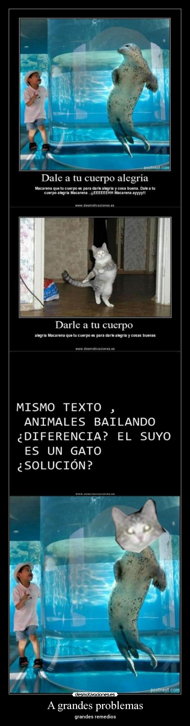 carteles problemas metodo para llegar principal desmotivaciones