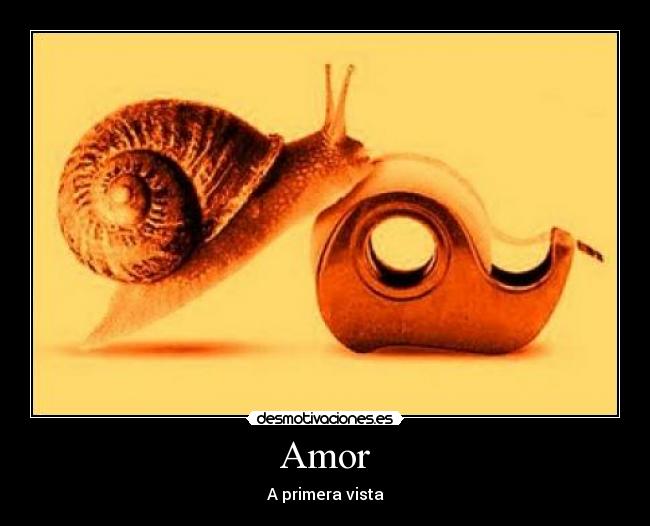 Amor - A primera vista