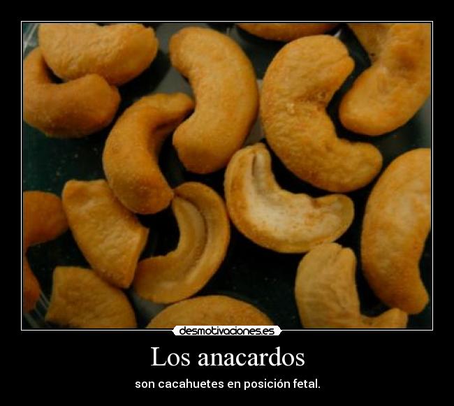 carteles anacardo cacahuete desmotivaciones