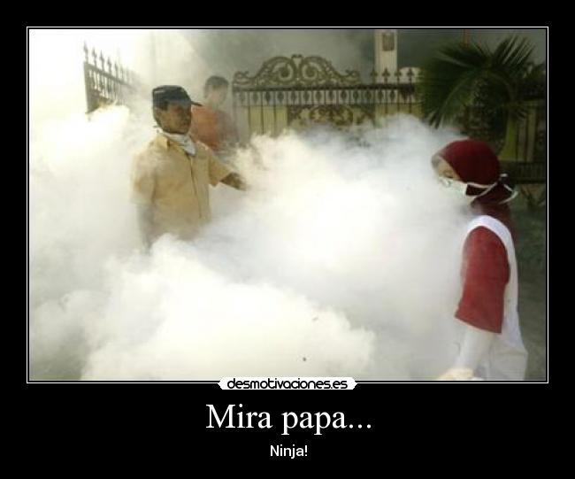 Mira papa... - Ninja!